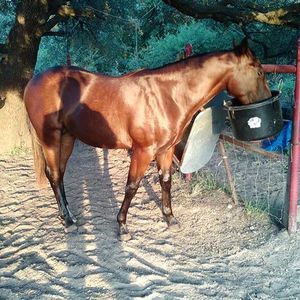 Meet your Posher, Soy de rancho